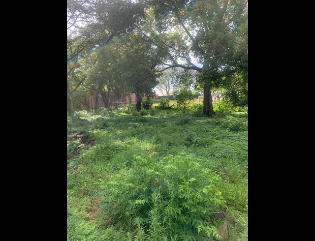 FARM FOR SALE IN GLENFERNESS